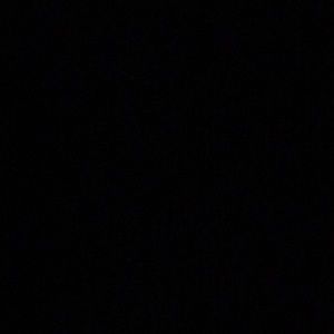 Meet your Posher, Ray